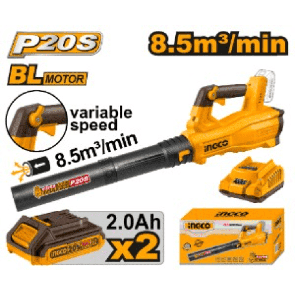 20V Lithium-Ion Blower